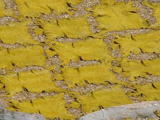 Yellow Leather drying in the sun